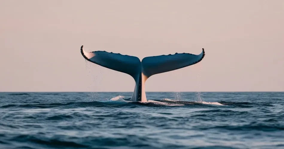Best Outdoor Things to Do in Long Beach, United States for Every Adventurer